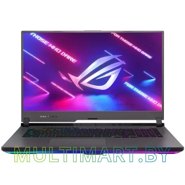 Игровой ноутбук Asus ROG Strix G15 G513IM-HN174 (90NR0522-M006A0)